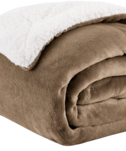 Alternative view of Manta Polar